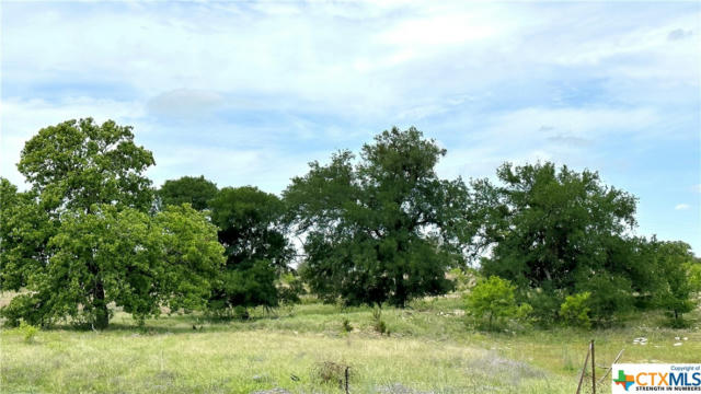 21 COUNTY ROAD 250, GOLDTHWAITE, TX 76844, photo 3 of 29