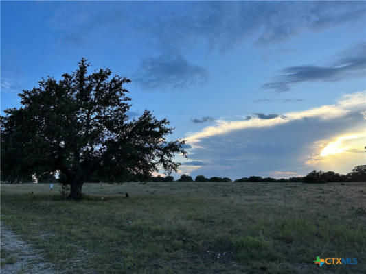 106 N WATERBUCK WAY, LAMPASAS, TX 76550 - Image 1