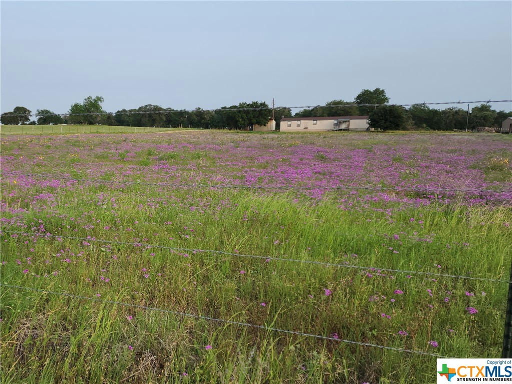 4220 COUNTY ROAD 421, STOCKDALE, TX 78160, photo 1 of 7