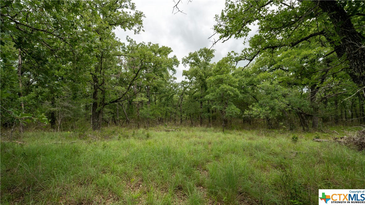 418 COUNTY ROAD 405, OTHER, TX 76518, photo 1 of 13