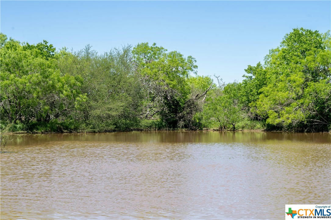 TBD COUNTY RD 171, NIXON, TX 78140, photo 1 of 34