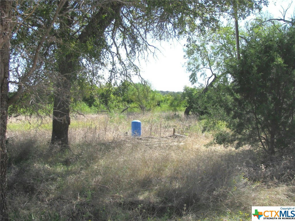 1 COUNTY ROAD 2830, LAMPASAS, TX 76550, photo 1 of 23