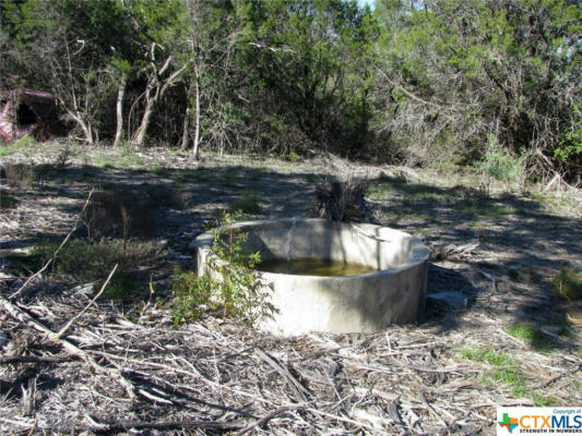 TRACT 3 COUNTY ROAD 182, PURMELA, TX 76566, photo 2 of 21