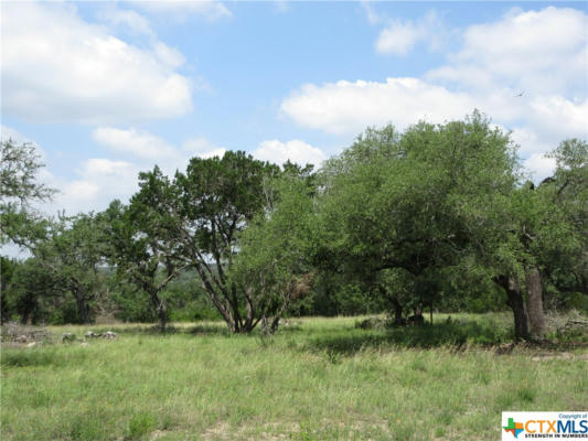 LOT 68 TORO PASS, WIMBERLEY, TX 78676, photo 4 of 16