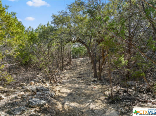 11509 FM 32, FISCHER, TX 78623, photo 2 of 19