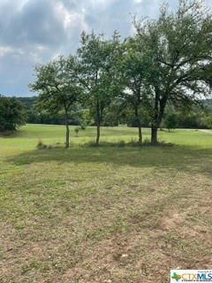 115 SPOTTED FAWN DR, GATESVILLE, TX 76528, photo 2 of 18