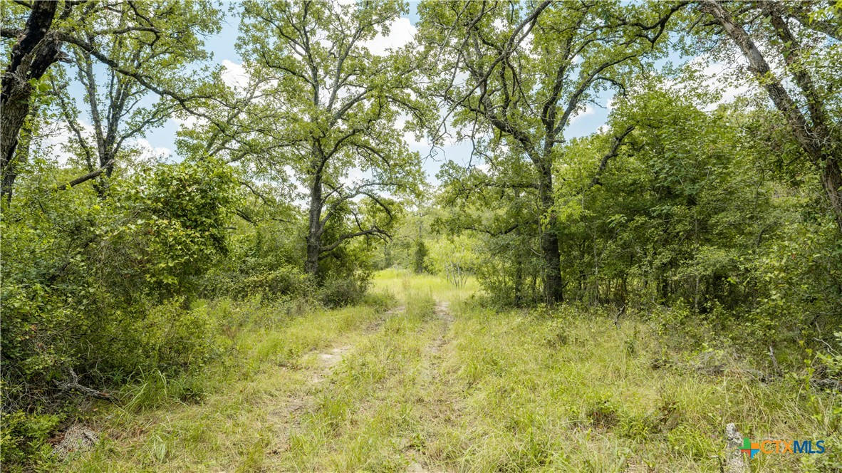 418B COUNTY ROAD 405, OTHER, TX 76518, photo 1 of 22