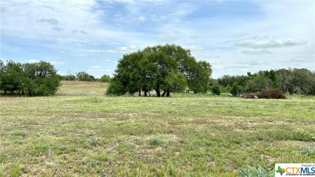 21 COUNTY ROAD 250, GOLDTHWAITE, TX 76844, photo 2 of 29
