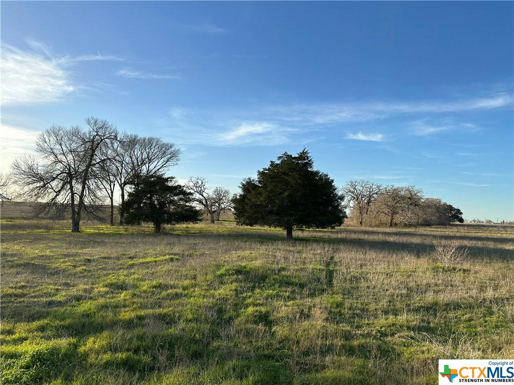 (LOT 20) TBD GANDER SLOUGH ROAD, KINGSBURY, TX 78638, photo 1 of 12