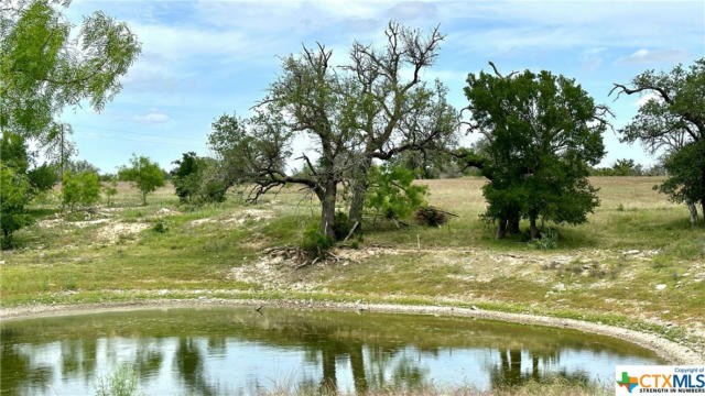 21 COUNTY ROAD 250, GOLDTHWAITE, TX 76844, photo 4 of 29