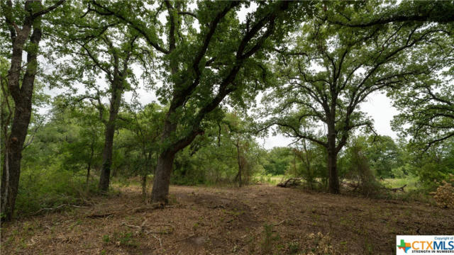 418B COUNTY ROAD 405, OTHER, TX 76518, photo 4 of 16