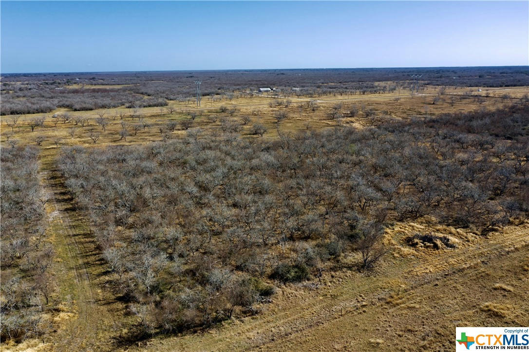 TBD MCCAMPBELL - TRACT F, GOLIAD, TX 77963, photo 1 of 5