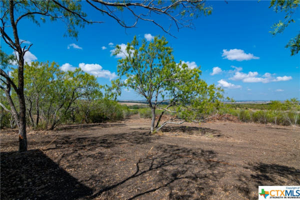 13004 FM 3353, KINGSBURY, TX 78638, photo 4 of 17