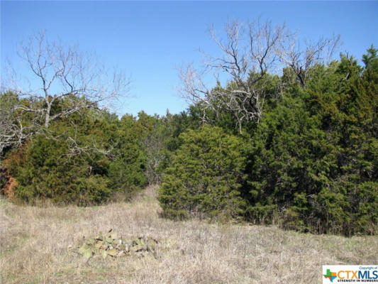 LOT 39 PH 6 PR 42103, EVANT, TX 76525, photo 4 of 17