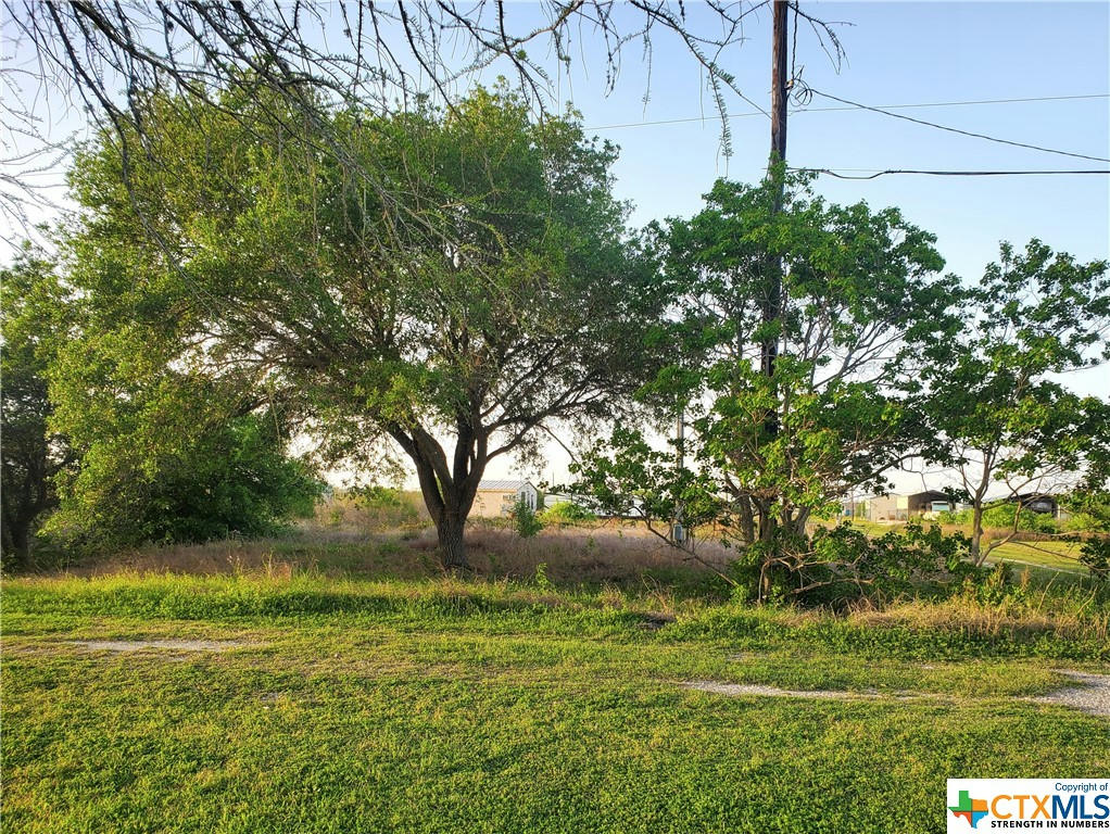 1502 W DALLAS AVENUE, SEADRIFT, TX 77983, photo 1 of 7