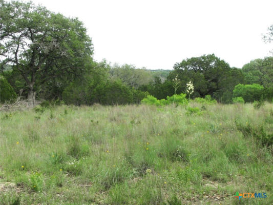 LOT 18 PHASE 3 PRIVATE ROAD 42112, EVANT, TX 76525, photo 3 of 21