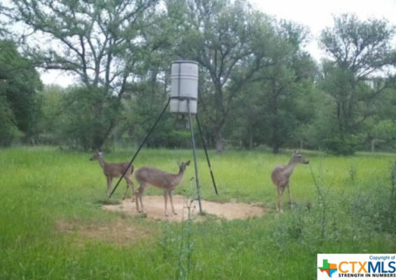 7230 COUNTY ROAD 434, THORNDALE, TX 76577, photo 2 of 31