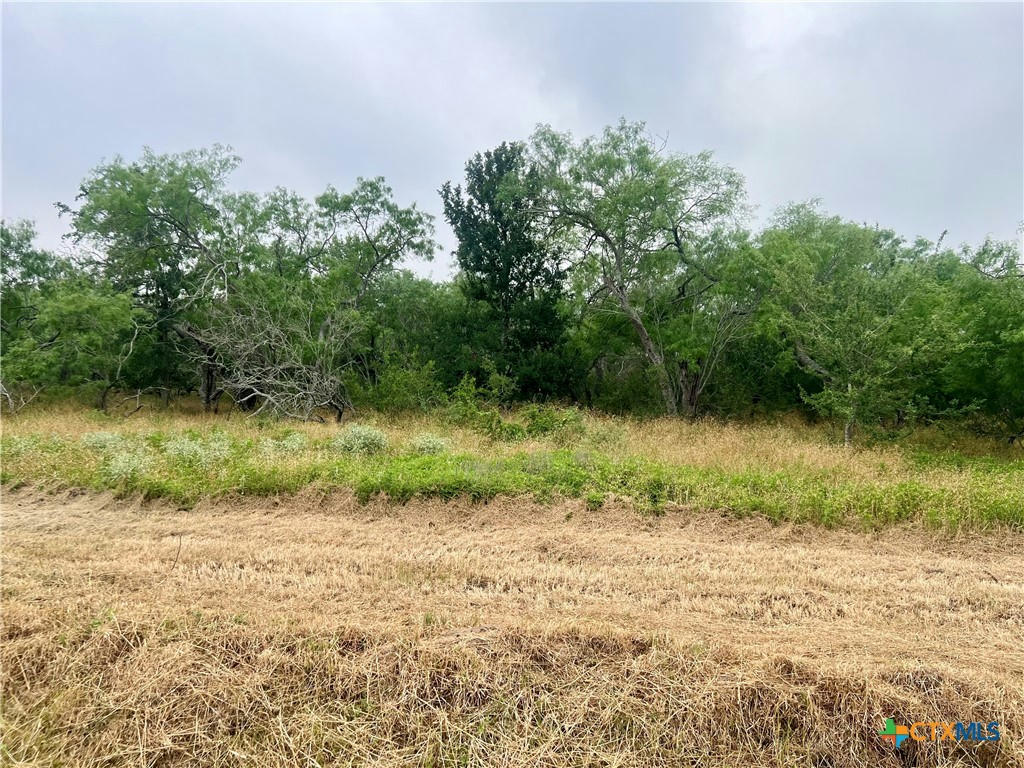 LOT 8 WISTERIA LANE, SMILEY, TX 78159, photo 1 of 13