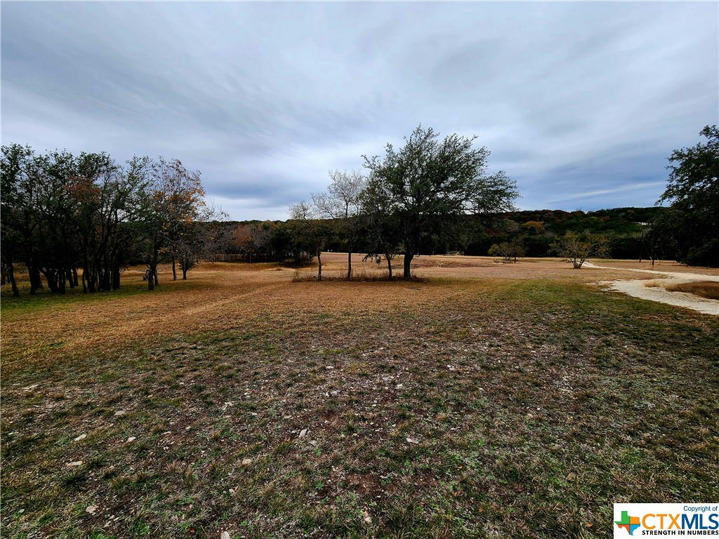 115 SPOTTED FAWN DR, GATESVILLE, TX 76528, photo 1 of 18