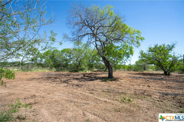 TBD COUNTY RD 171, NIXON, TX 78140, photo 3 of 34