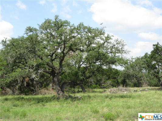 LOT 68 TORO PASS, WIMBERLEY, TX 78676, photo 3 of 16