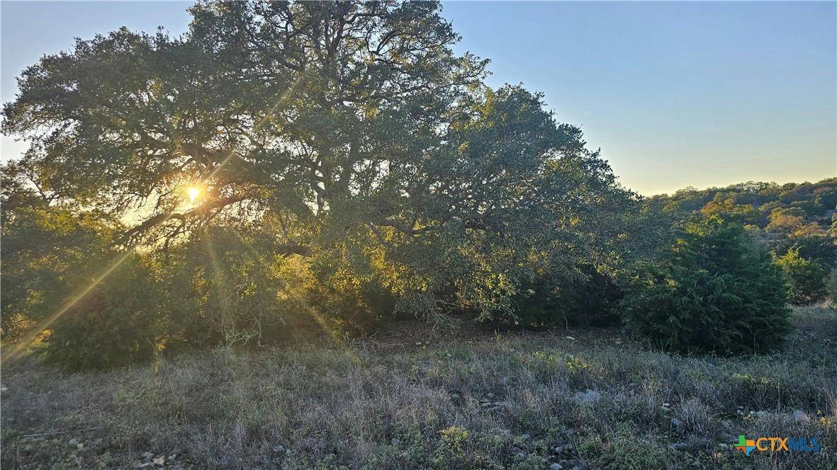 5942 COLIN RDG, NEW BRAUNFELS, TX 78132, photo 1 of 7