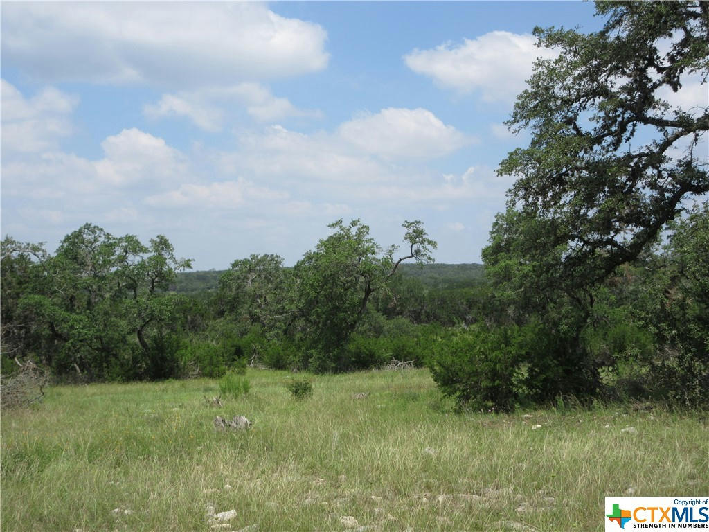 LOT 68 TORO PASS, WIMBERLEY, TX 78676, photo 1 of 16