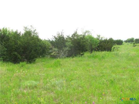 LOT N31 PR 2902, HAMILTON, TX 76531, photo 5 of 28