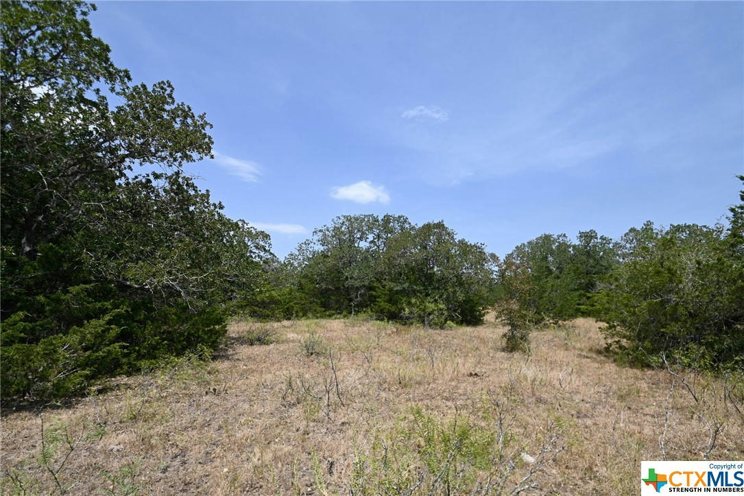 1345 3-DAVIS ROAD, OTHER, TX 78949, photo 1 of 19