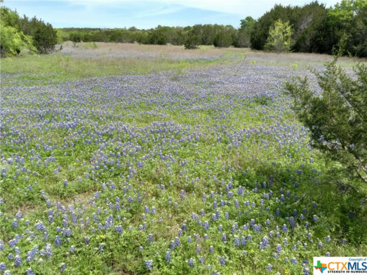 TRACT 5 CR 102, PURMELA, TX 76566, photo 3 of 13