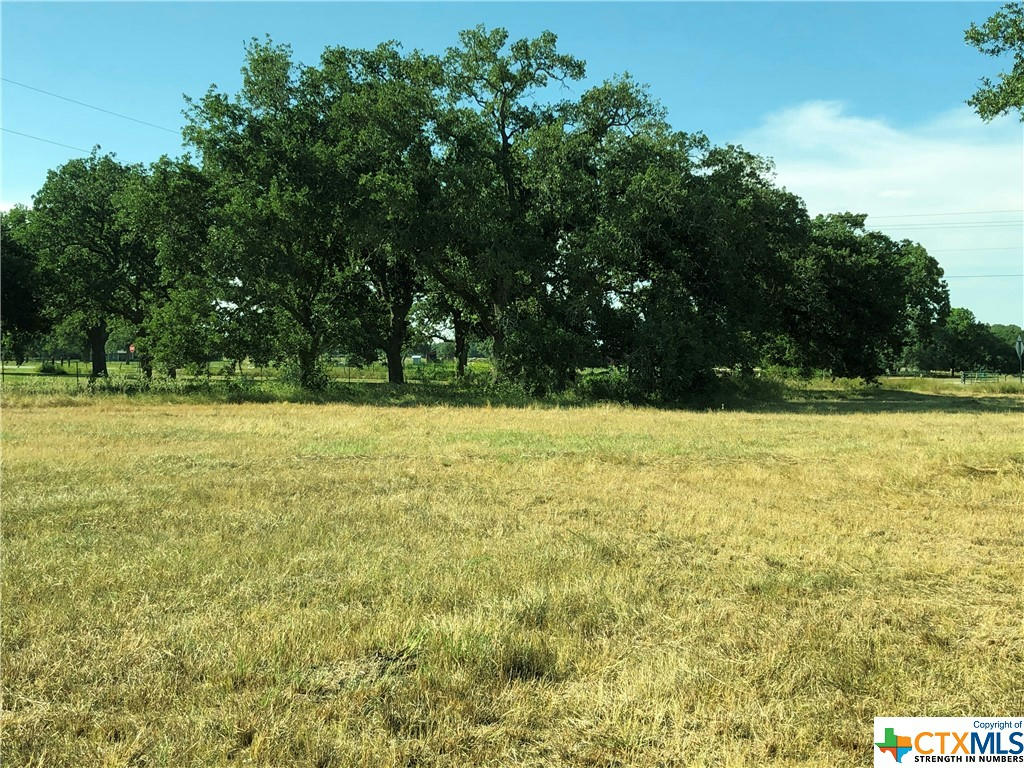 153 PVT 1671, HALLETTSVILLE, TX 77964, photo 1 of 8