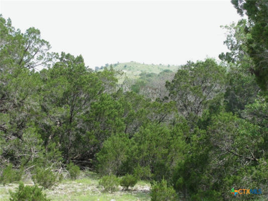 LOT 18 PHASE 3 PRIVATE ROAD 42112, EVANT, TX 76525, photo 2 of 21