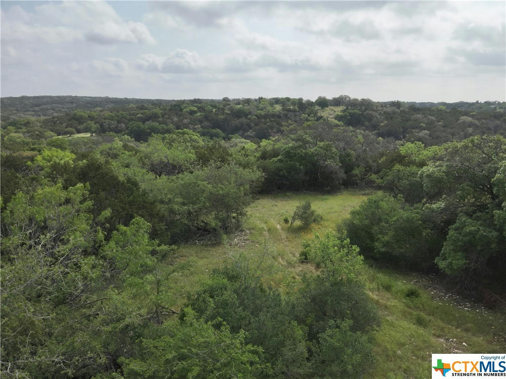 TBD PR 1377, LAMPASAS, TX 76550, photo 1 of 20