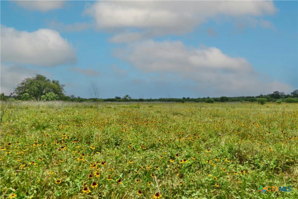 000 FM 1115, FLATONIA, TX 78941, photo 5 of 19