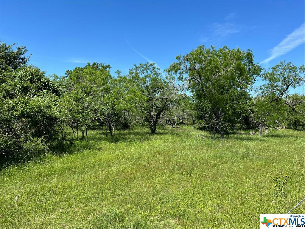 TRACT 6 CR 482, GONZALES, TX 78629, photo 1 of 14