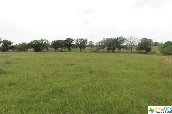 TBD FM-2438 ROAD, SEGUIN, TX 78155, photo 3 of 17