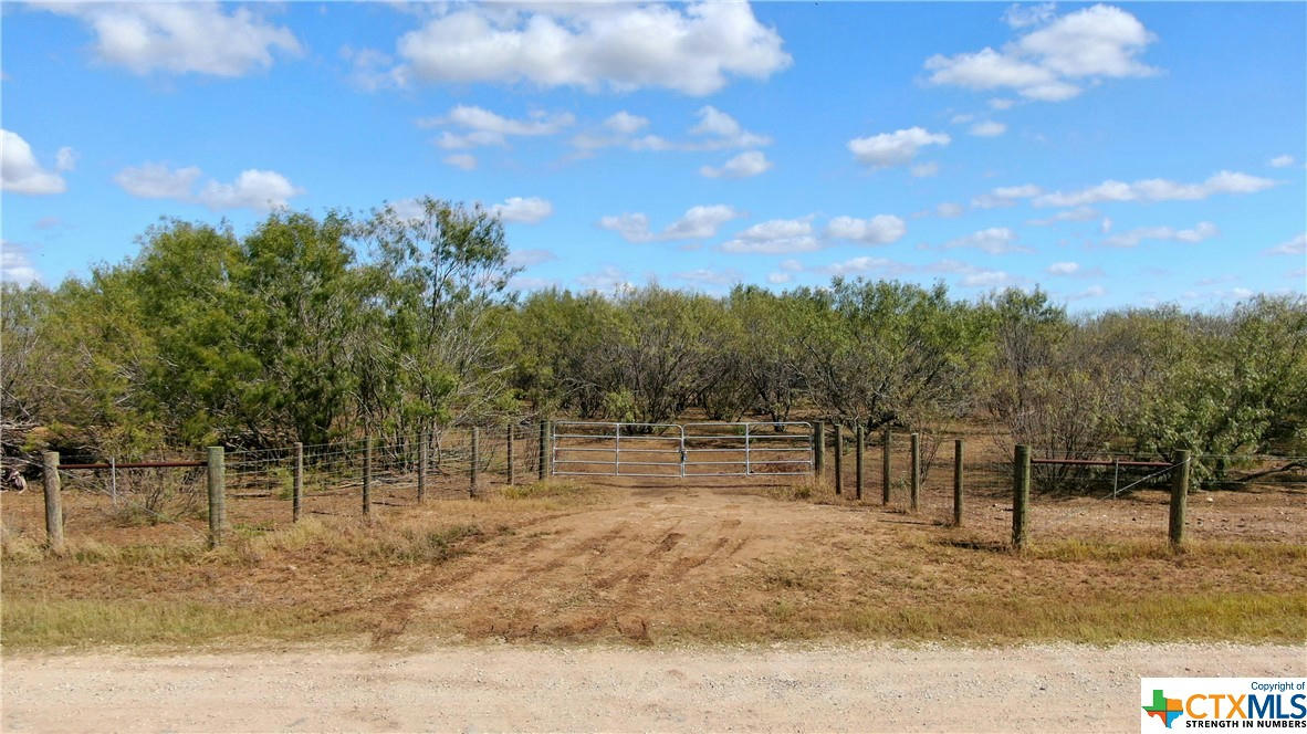 812 COUNTY ROAD 415, STOCKDALE, TX 78160, photo 1 of 13
