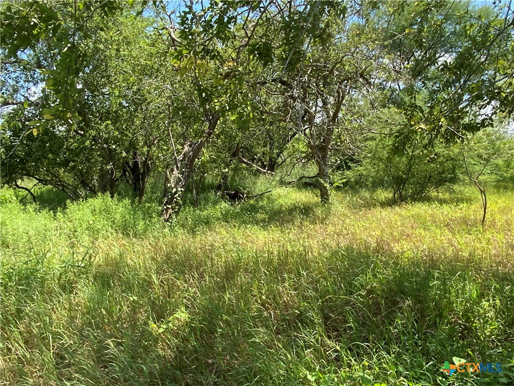 TBD CR 1144 AND CR 1196, SINTON, TX 78387, photo 1 of 28