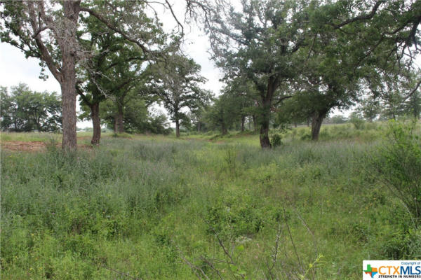 TBD FM-2438 ROAD, SEGUIN, TX 78155, photo 4 of 17