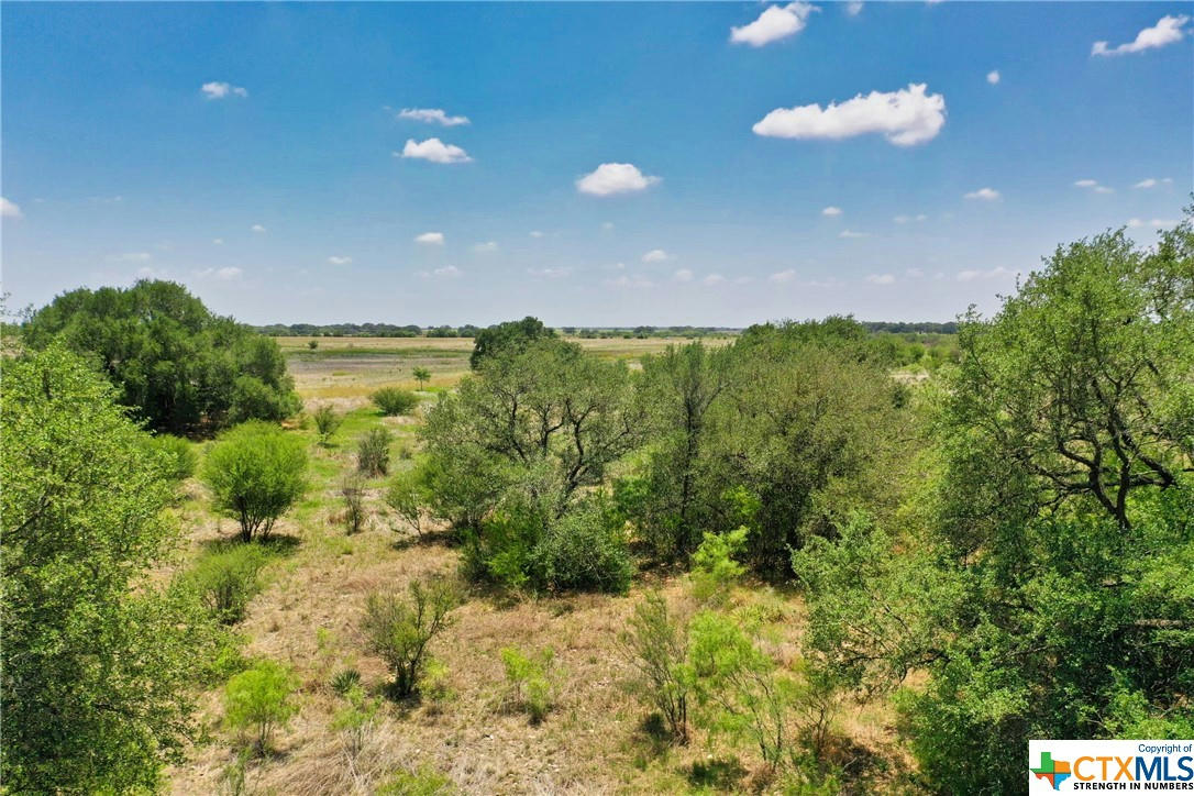 TRACT P COUNTY ROAD 512 & CR 411, D'HANIS, TX 78850, photo 1 of 2