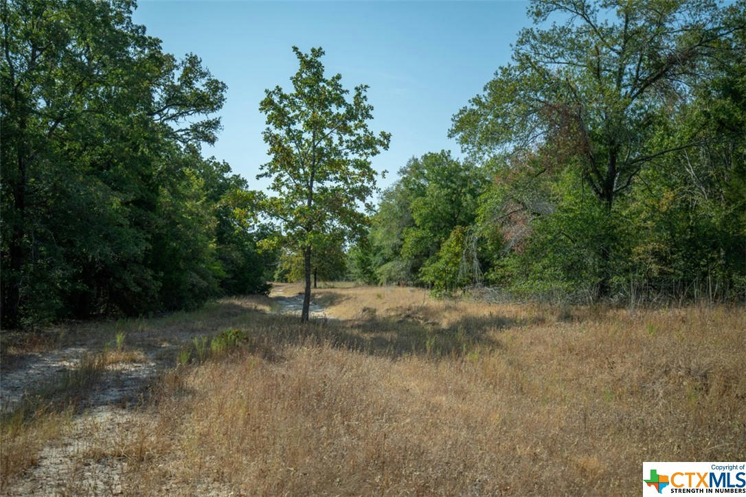 TBD S TIDWELL PRAIRIE ROAD, CALVERT, TX 77837, photo 1 of 31