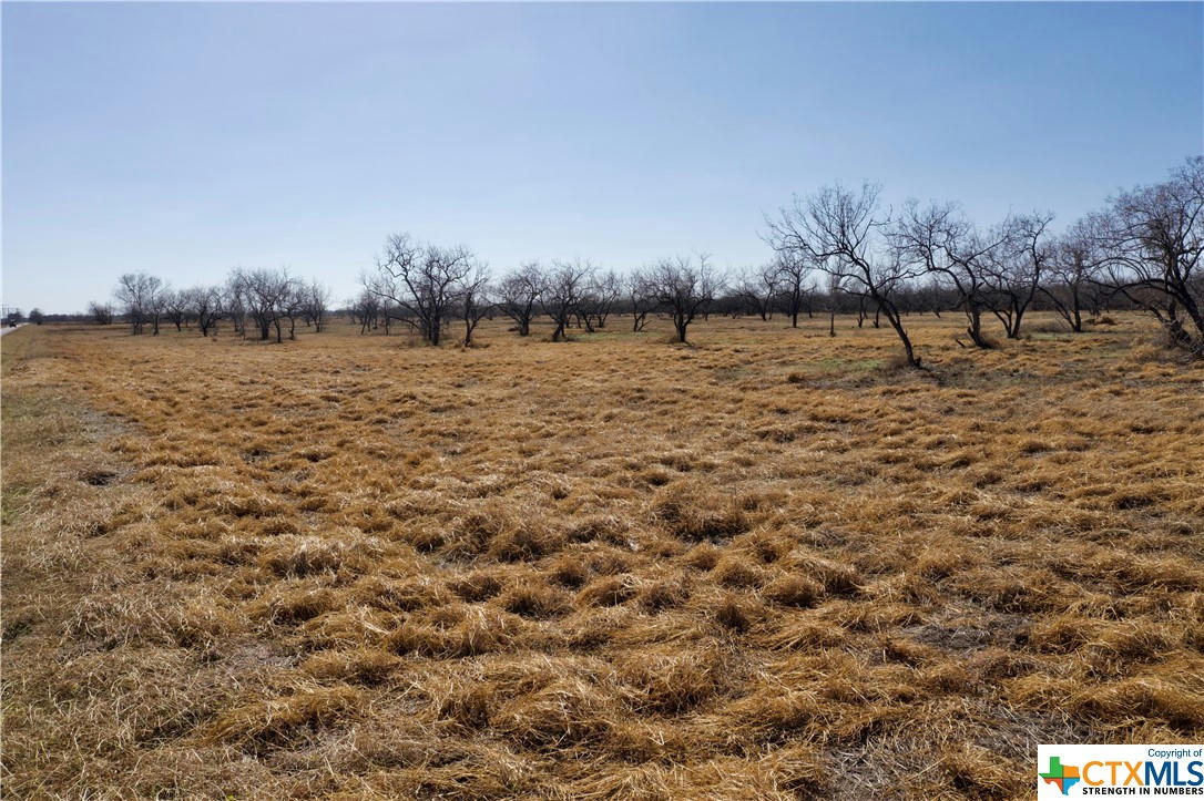 TBD MCCAMPBELL - TRACT E, GOLIAD, TX 77963, photo 1 of 5