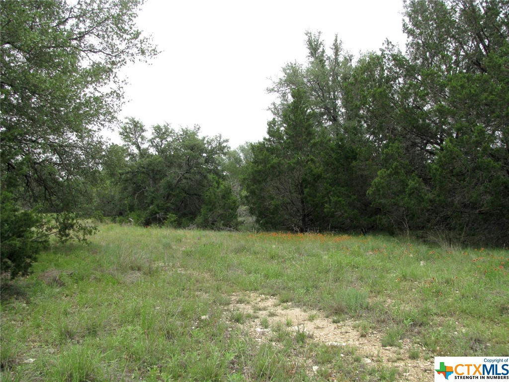 TBD PR 42107, EVANT, TX 76525, photo 1 of 24