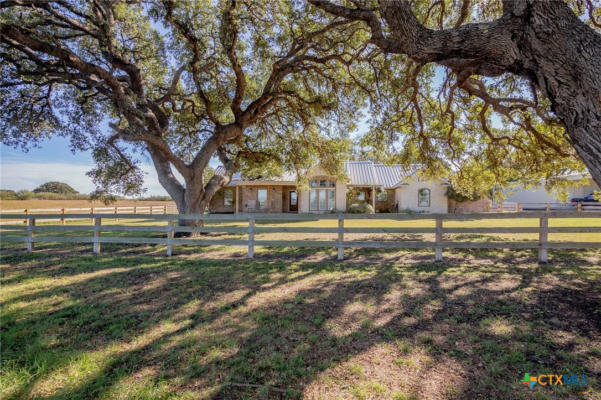 3407 HALLEMANN RD, GOLIAD, TX 77963 - Image 1