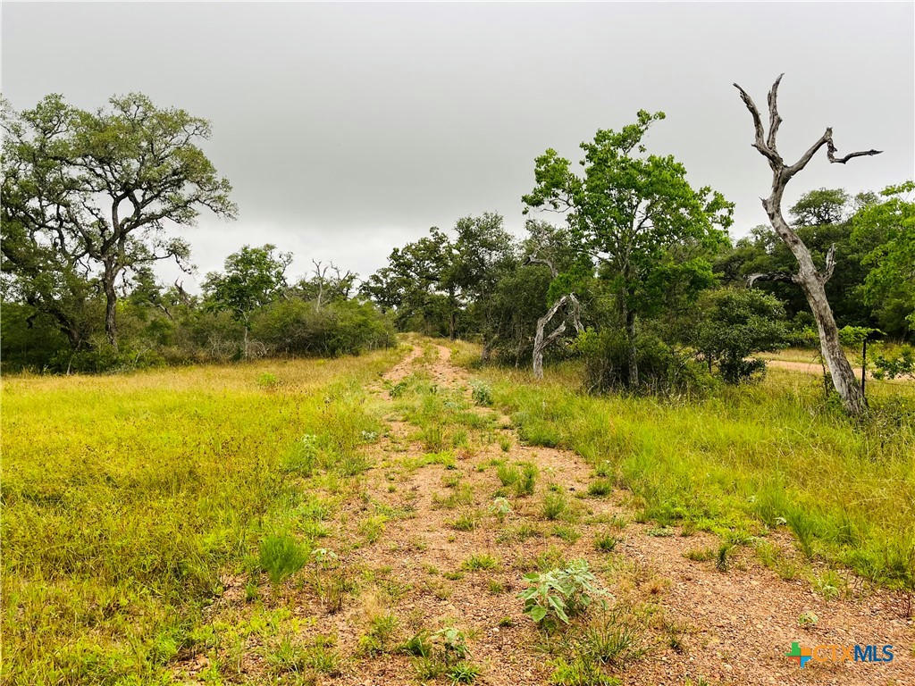 000 ROCKY RD, CUERO, TX 77954, photo 1 of 5