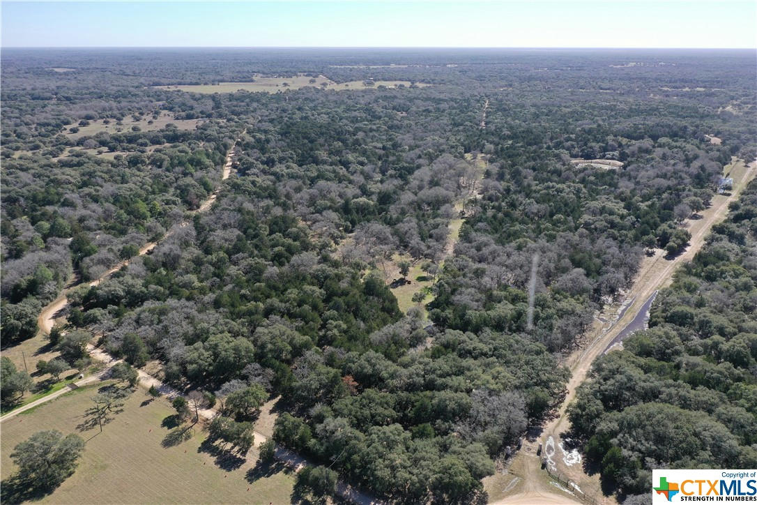 1319 COUNTY ROAD 16A, HALLETTSVILLE, TX 77964, photo 1 of 17