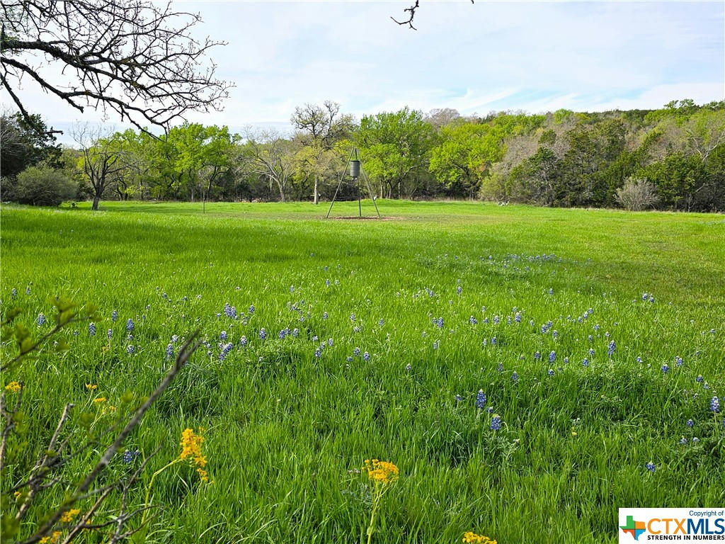 TBD PR 1377 ROAD, LAMPASAS, TX 76550, photo 1 of 25