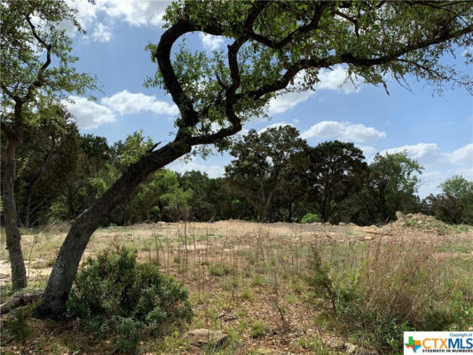 729 CANYON BND, CANYON LAKE, TX 78133, photo 3 of 10