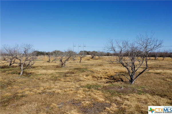 TBD MCCAMPBELL - TRACT E, GOLIAD, TX 77963, photo 4 of 5