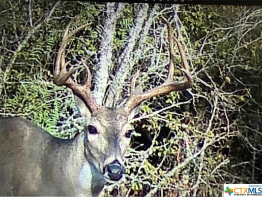 13004 FM 3353, KINGSBURY, TX 78638, photo 3 of 17